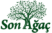 Son Ağaç